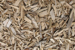 biomass boilers Buckland Monachorum